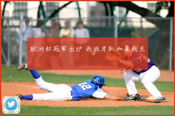 欧洲杯冠军出炉 西班牙队加冕新王