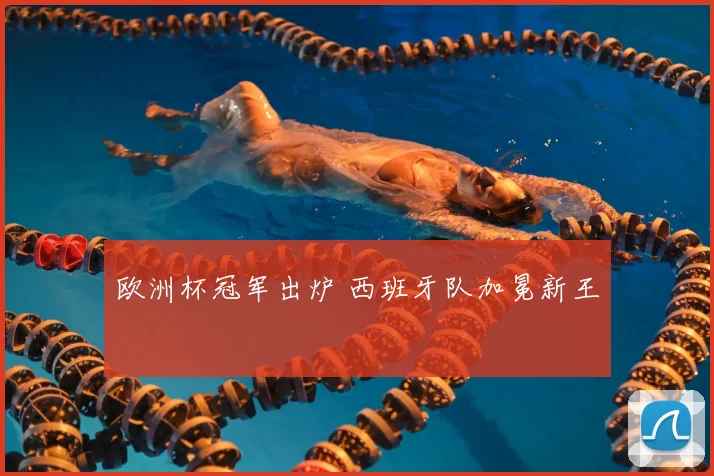 欧洲杯冠军出炉 西班牙队加冕新王